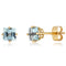 14k Yellow Gold Aquamarine Earrings